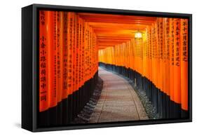 Torii Gates in Fushimi Inari Shrine, Kyoto, Japan-lkunl-Framed Stretched Canvas