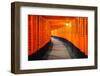 Torii Gates in Fushimi Inari Shrine, Kyoto, Japan-lkunl-Framed Photographic Print