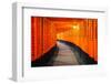 Torii Gates in Fushimi Inari Shrine, Kyoto, Japan-lkunl-Framed Photographic Print