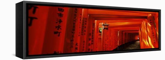 Torii Gates of a Shrine, Fushimi Inari-Taisha, Fushimi Ward, Kyoto, Honshu, Japan-null-Framed Stretched Canvas