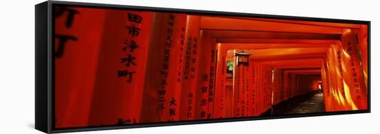 Torii Gates of a Shrine, Fushimi Inari-Taisha, Fushimi Ward, Kyoto, Honshu, Japan-null-Framed Stretched Canvas