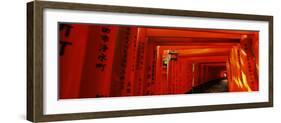 Torii Gates of a Shrine, Fushimi Inari-Taisha, Fushimi Ward, Kyoto, Honshu, Japan-null-Framed Photographic Print
