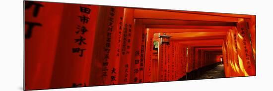 Torii Gates of a Shrine, Fushimi Inari-Taisha, Fushimi Ward, Kyoto, Honshu, Japan-null-Mounted Photographic Print