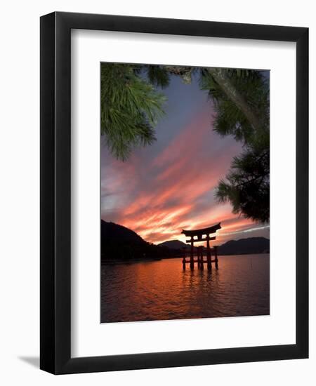 Torii Shrine Gate in the Sea, Miyajima Island, Honshu, Japan-Christian Kober-Framed Premium Photographic Print