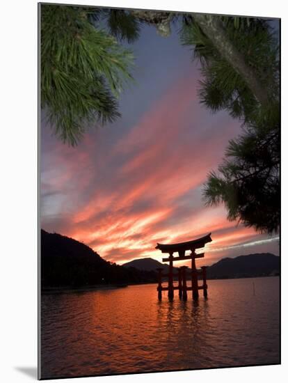 Torii Shrine Gate in the Sea, Miyajima Island, Honshu, Japan-Christian Kober-Mounted Photographic Print
