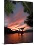 Torii Shrine Gate in the Sea, Miyajima Island, Honshu, Japan-Christian Kober-Mounted Photographic Print