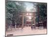 Torii, Shrine Gate, Nishigamo, Kyoto, Japan-null-Mounted Giclee Print