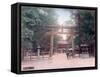 Torii, Shrine Gate, Nishigamo, Kyoto, Japan-null-Framed Stretched Canvas