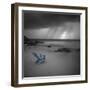 Tormenta Sharp - Pop-Moises Levy-Framed Premium Photographic Print