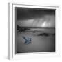 Tormenta Sharp - Pop-Moises Levy-Framed Photographic Print