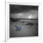 Tormenta Sharp - Pop-Moises Levy-Framed Photographic Print