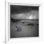 Tormenta Sharp - Pop-Moises Levy-Framed Photographic Print