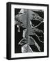 Torn Leaf, Hawaii, 1978-Brett Weston-Framed Photographic Print