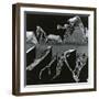 Torn Leaf, Hawaii, 1978-Brett Weston-Framed Photographic Print