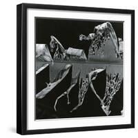 Torn Leaf, Hawaii, 1978-Brett Weston-Framed Photographic Print