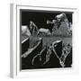 Torn Leaf, Hawaii, 1978-Brett Weston-Framed Photographic Print