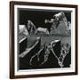 Torn Leaf, Hawaii, 1978-Brett Weston-Framed Photographic Print