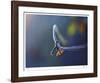 Torn-Michelle Wermuth-Framed Giclee Print