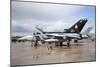 Tornado Adv of the Royal Air Force-Stocktrek Images-Mounted Photographic Print