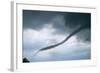 Tornado Funnel Cloud over Boulder, Colorado-W. Perry Conway-Framed Photographic Print