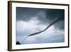 Tornado Funnel Cloud over Boulder, Colorado-W. Perry Conway-Framed Photographic Print