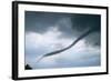 Tornado Funnel Cloud over Boulder, Colorado-W. Perry Conway-Framed Photographic Print
