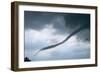 Tornado Funnel Cloud over Boulder, Colorado-W. Perry Conway-Framed Photographic Print