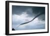 Tornado Funnel Cloud over Boulder, Colorado-W. Perry Conway-Framed Photographic Print