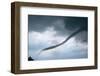 Tornado Funnel Cloud over Boulder, Colorado-W. Perry Conway-Framed Photographic Print