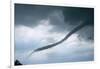 Tornado Funnel Cloud over Boulder, Colorado-W. Perry Conway-Framed Photographic Print