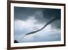 Tornado Funnel Cloud over Boulder, Colorado-W. Perry Conway-Framed Photographic Print