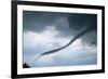 Tornado Funnel Cloud over Boulder, Colorado-W. Perry Conway-Framed Photographic Print