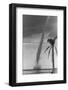 Tornado Off St. Petersburg-null-Framed Photographic Print