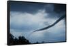 Tornado over Boulder, Colorado-W. Perry Conway-Framed Stretched Canvas