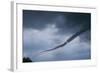 Tornado over Boulder, Colorado-W. Perry Conway-Framed Photographic Print