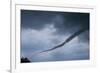 Tornado over Boulder, Colorado-W. Perry Conway-Framed Photographic Print