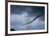 Tornado over Boulder, Colorado-W. Perry Conway-Framed Photographic Print