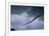 Tornado over Boulder, Colorado-W. Perry Conway-Framed Photographic Print