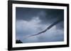 Tornado over Boulder, Colorado-W. Perry Conway-Framed Photographic Print