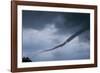 Tornado over Boulder, Colorado-W. Perry Conway-Framed Photographic Print