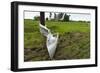 Tornado Storm Damaga, Saskatchewan, Canada-null-Framed Photographic Print