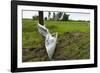 Tornado Storm Damaga, Saskatchewan, Canada-null-Framed Photographic Print