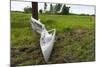 Tornado Storm Damaga, Saskatchewan, Canada-null-Mounted Photographic Print