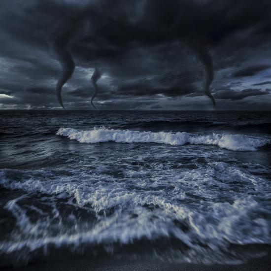 Photographic Print, , large