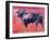 Toro Azul, 1998-Mark Adlington-Framed Giclee Print