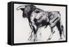 Toro Azul, Study-Mark Adlington-Framed Stretched Canvas
