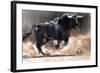 Toro Bravo, 2022, (charcoal and pastel on paper)-Mark Adlington-Framed Giclee Print