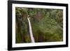 Toro Falls, Cloud Forest, Costa Rica-Rob Sheppard-Framed Photographic Print