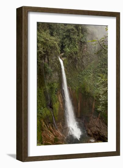 Toro Falls, Cloud Forest, Costa Rica-Rob Sheppard-Framed Photographic Print