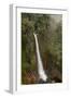 Toro Falls, Cloud Forest, Costa Rica-Rob Sheppard-Framed Photographic Print